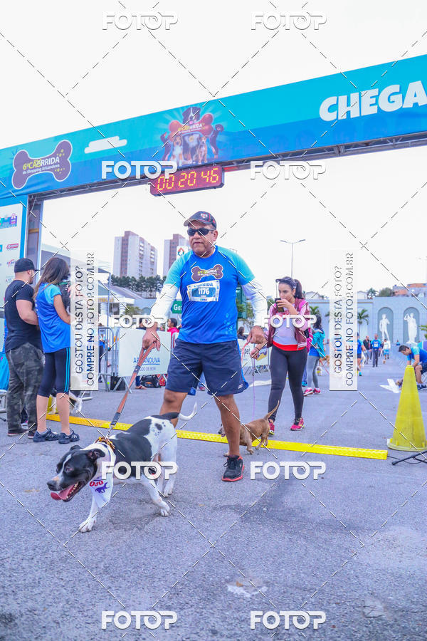 Buy your photos of the event6 Corrida do Shopping Aricanduva on Fotop