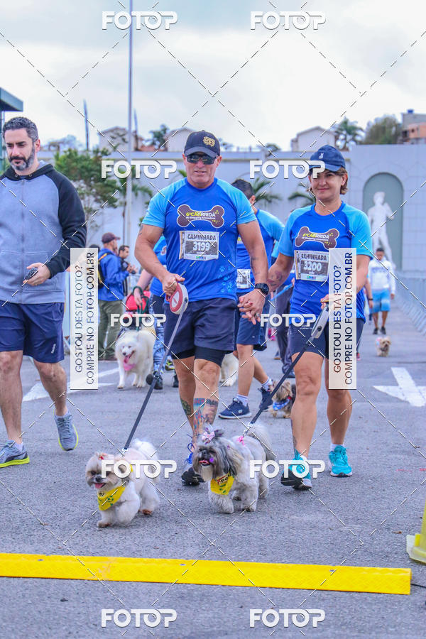 Buy your photos of the event6 Corrida do Shopping Aricanduva on Fotop