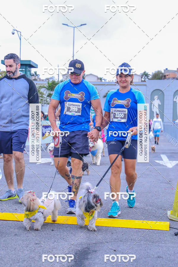 Buy your photos of the event6 Corrida do Shopping Aricanduva on Fotop