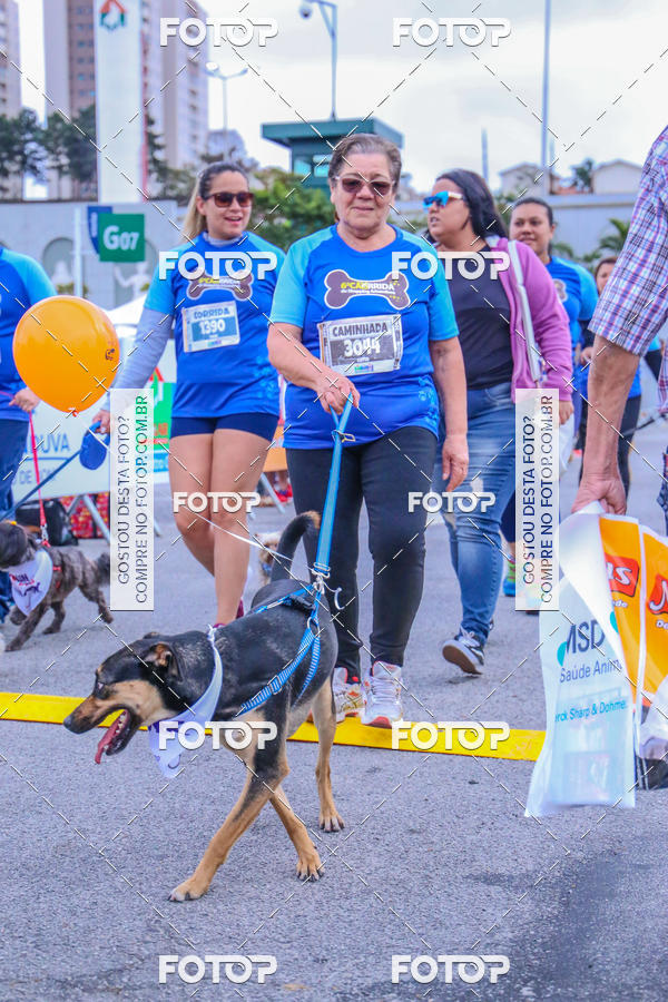 Buy your photos of the event6 Corrida do Shopping Aricanduva on Fotop