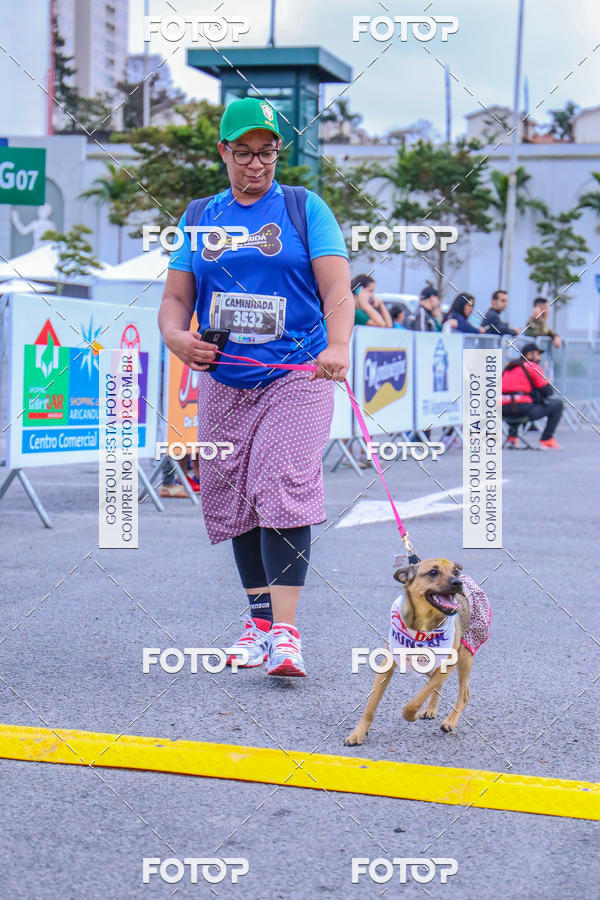 Buy your photos of the event6 Corrida do Shopping Aricanduva on Fotop