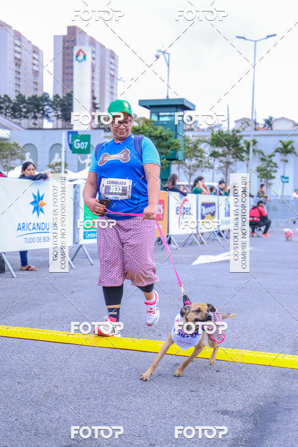 Buy your photos of the event6 Corrida do Shopping Aricanduva on Fotop