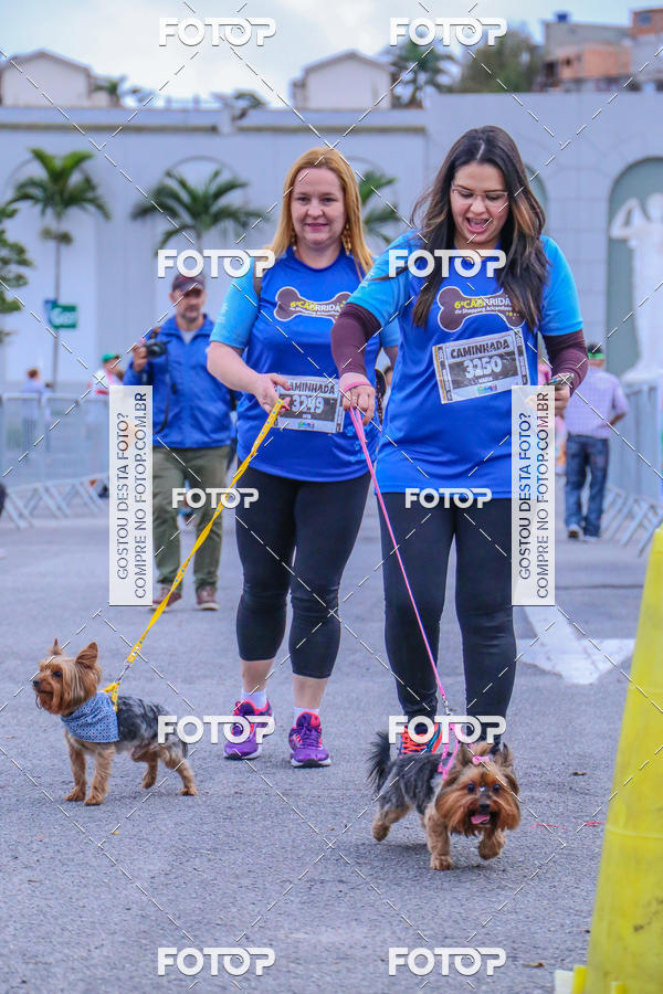 Buy your photos of the event6 Corrida do Shopping Aricanduva on Fotop