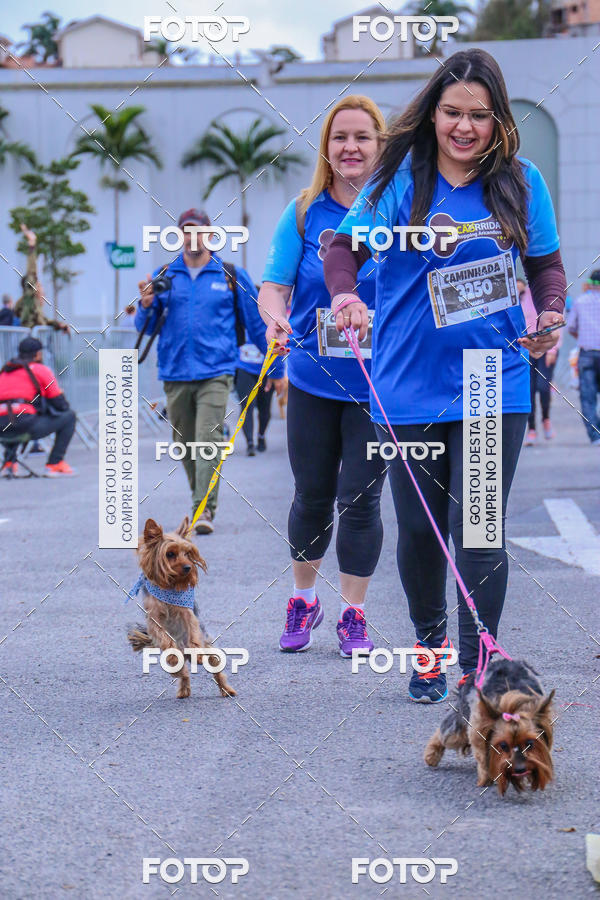 Buy your photos of the event6 Corrida do Shopping Aricanduva on Fotop