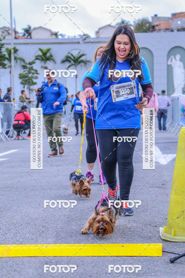 Buy your photos of the event6 Corrida do Shopping Aricanduva on Fotop