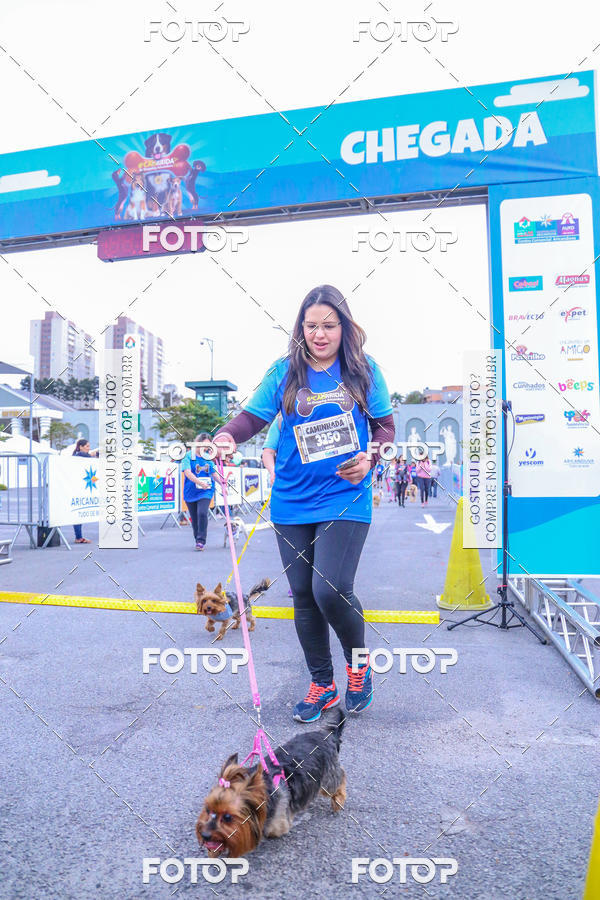 Buy your photos of the event6 Corrida do Shopping Aricanduva on Fotop