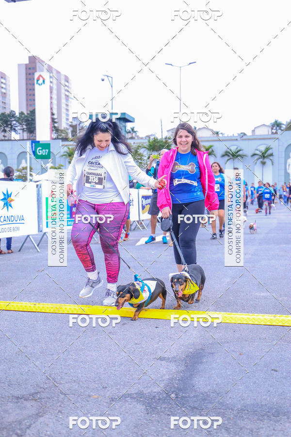 Buy your photos of the event6 Corrida do Shopping Aricanduva on Fotop
