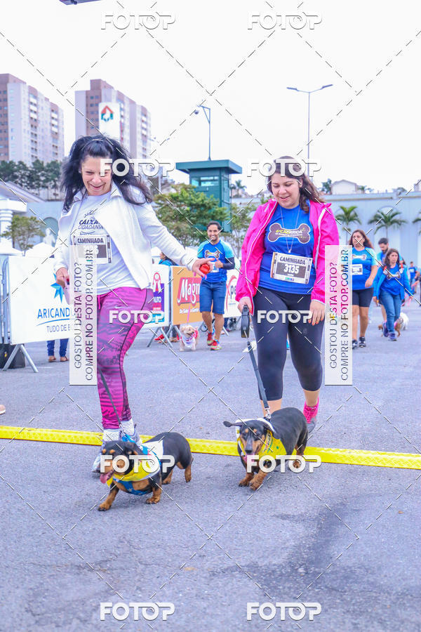 Buy your photos of the event6 Corrida do Shopping Aricanduva on Fotop