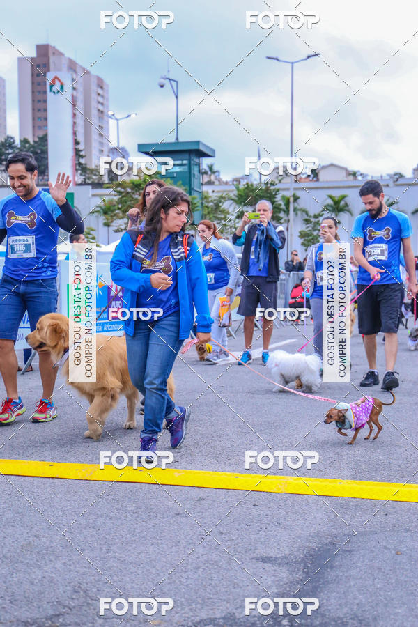 Buy your photos of the event6 Corrida do Shopping Aricanduva on Fotop