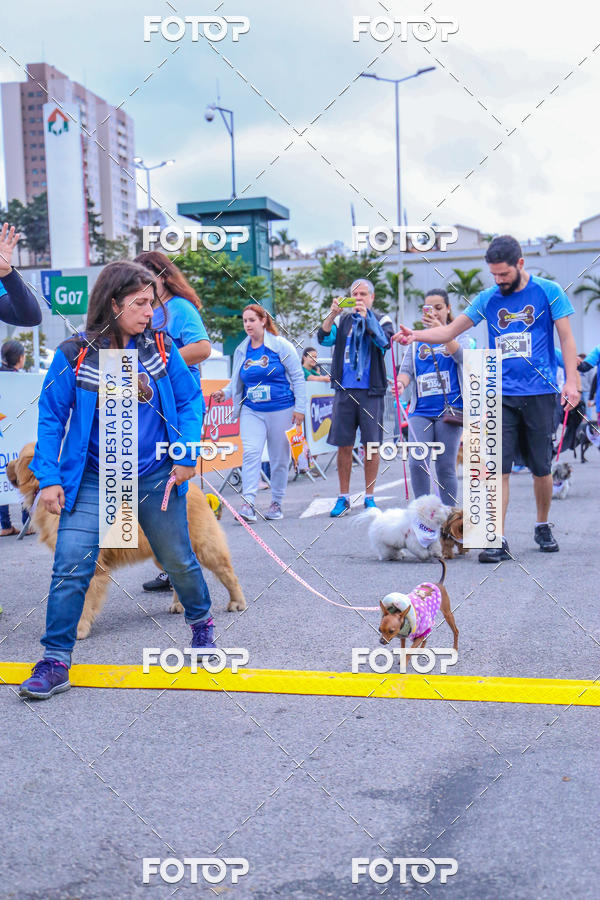 Buy your photos of the event6 Corrida do Shopping Aricanduva on Fotop