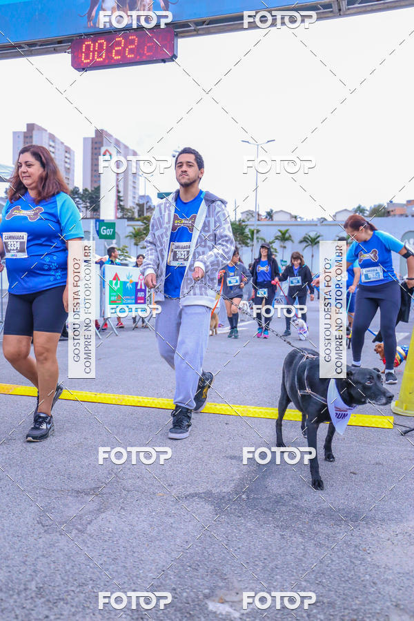 Buy your photos of the event6 Corrida do Shopping Aricanduva on Fotop