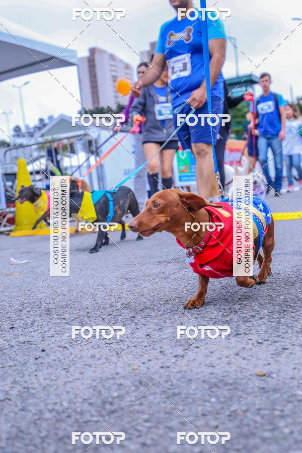 Buy your photos of the event6 Corrida do Shopping Aricanduva on Fotop