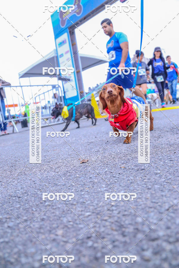 Buy your photos of the event6 Corrida do Shopping Aricanduva on Fotop