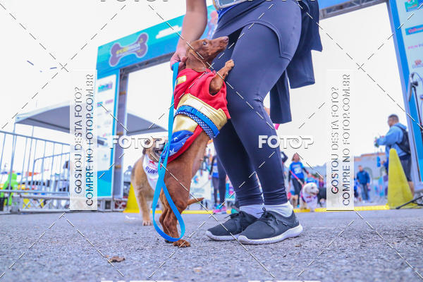 Buy your photos of the event6 Corrida do Shopping Aricanduva on Fotop
