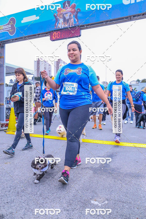 Buy your photos of the event6 Corrida do Shopping Aricanduva on Fotop