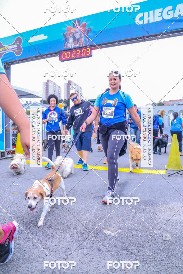 Buy your photos of the event6 Corrida do Shopping Aricanduva on Fotop