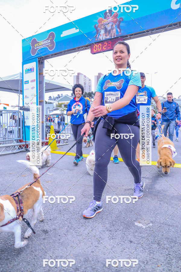 Buy your photos of the event6 Corrida do Shopping Aricanduva on Fotop