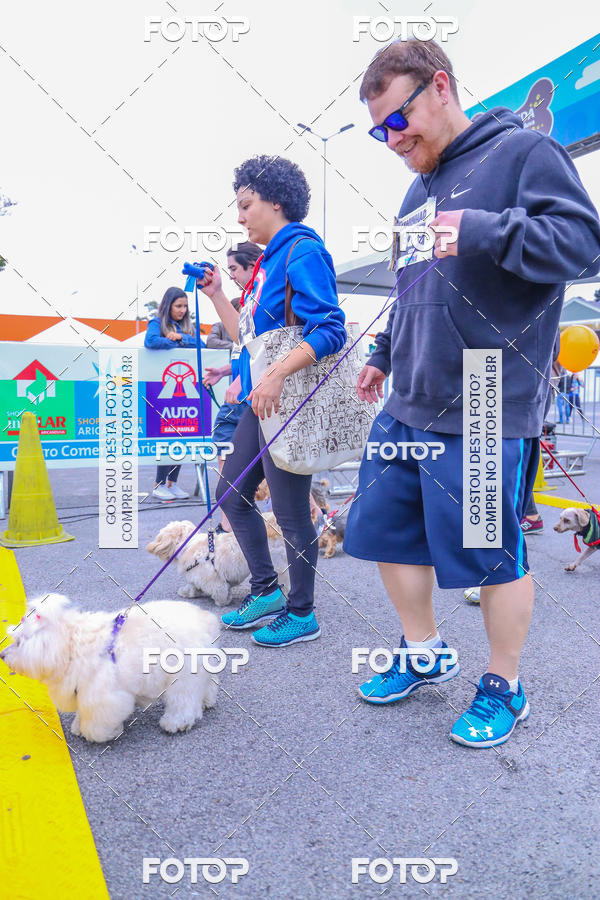 Buy your photos of the event6 Corrida do Shopping Aricanduva on Fotop