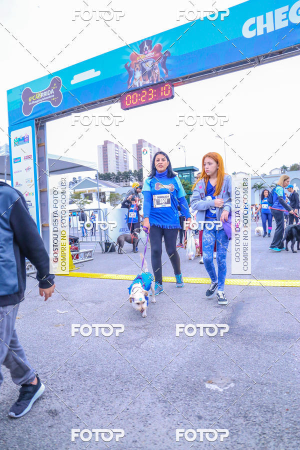 Buy your photos of the event6 Corrida do Shopping Aricanduva on Fotop
