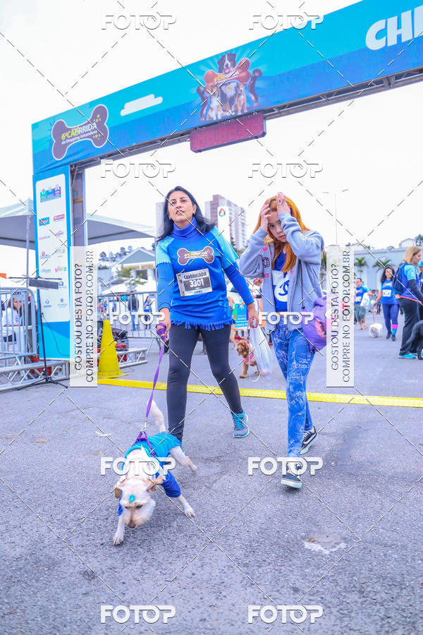 Buy your photos of the event6 Corrida do Shopping Aricanduva on Fotop