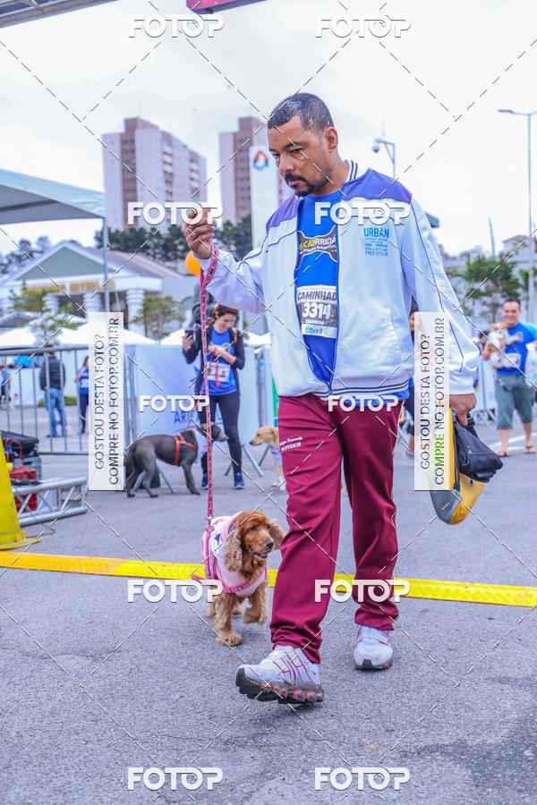 Buy your photos of the event6 Corrida do Shopping Aricanduva on Fotop