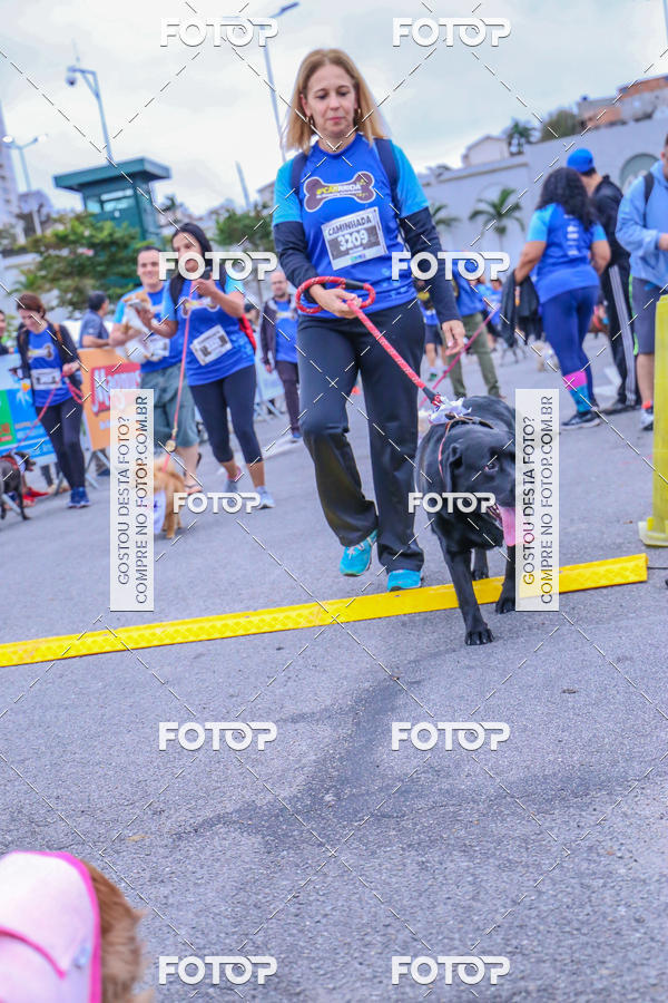 Buy your photos of the event6 Corrida do Shopping Aricanduva on Fotop