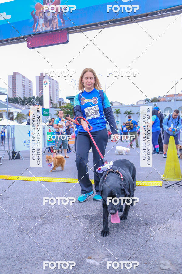 Buy your photos of the event6 Corrida do Shopping Aricanduva on Fotop