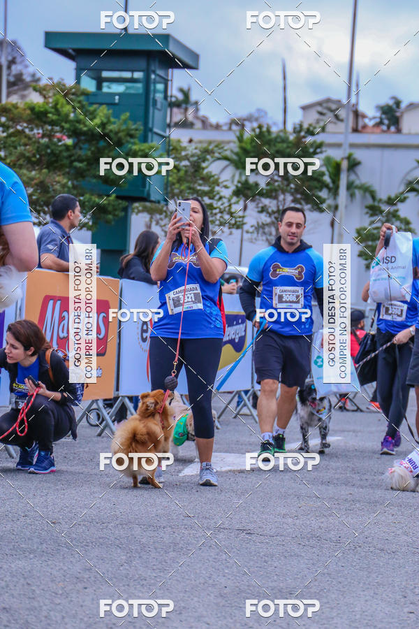 Buy your photos of the event6 Corrida do Shopping Aricanduva on Fotop