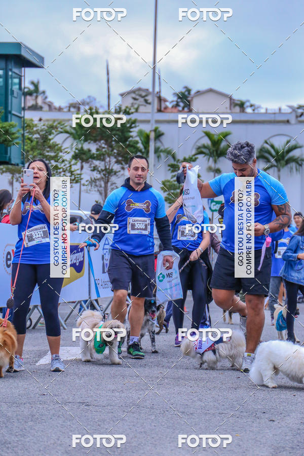 Buy your photos of the event6 Corrida do Shopping Aricanduva on Fotop