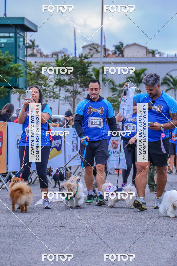 Buy your photos of the event6 Corrida do Shopping Aricanduva on Fotop