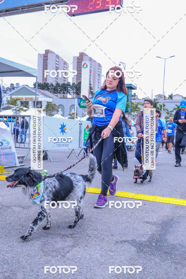 Buy your photos of the event6 Corrida do Shopping Aricanduva on Fotop