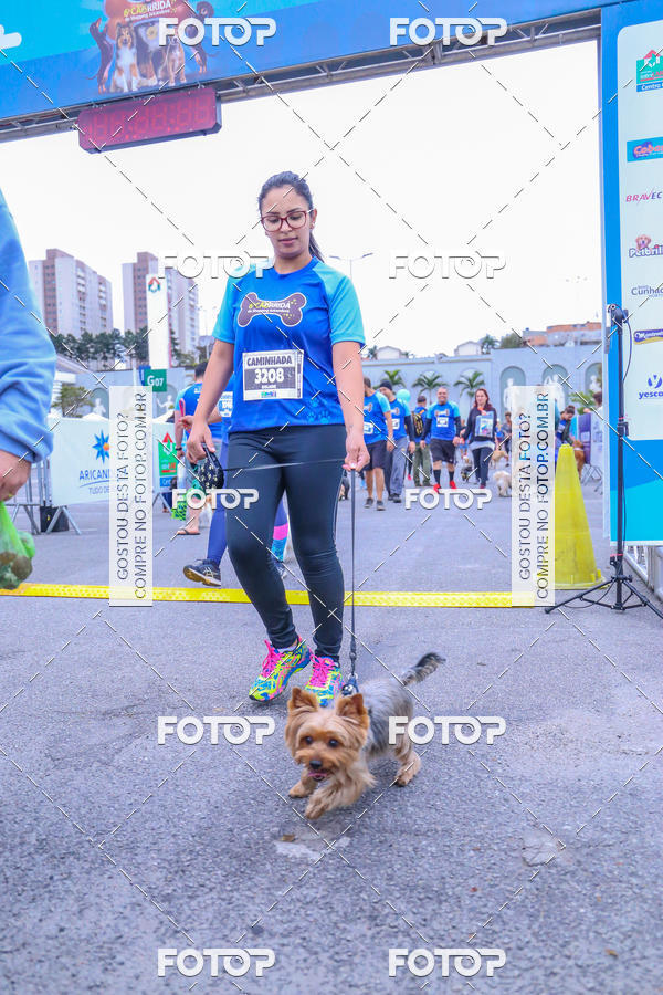 Buy your photos of the event6 Corrida do Shopping Aricanduva on Fotop