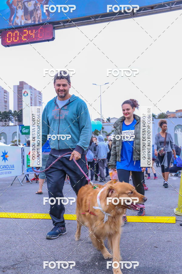Buy your photos of the event6 Corrida do Shopping Aricanduva on Fotop