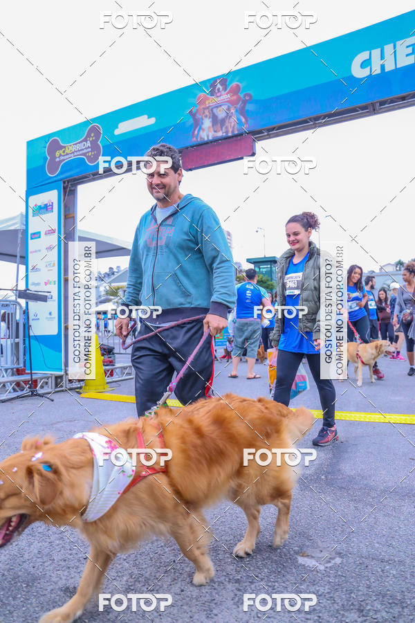 Buy your photos of the event6 Corrida do Shopping Aricanduva on Fotop