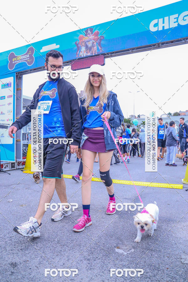 Buy your photos of the event6 Corrida do Shopping Aricanduva on Fotop