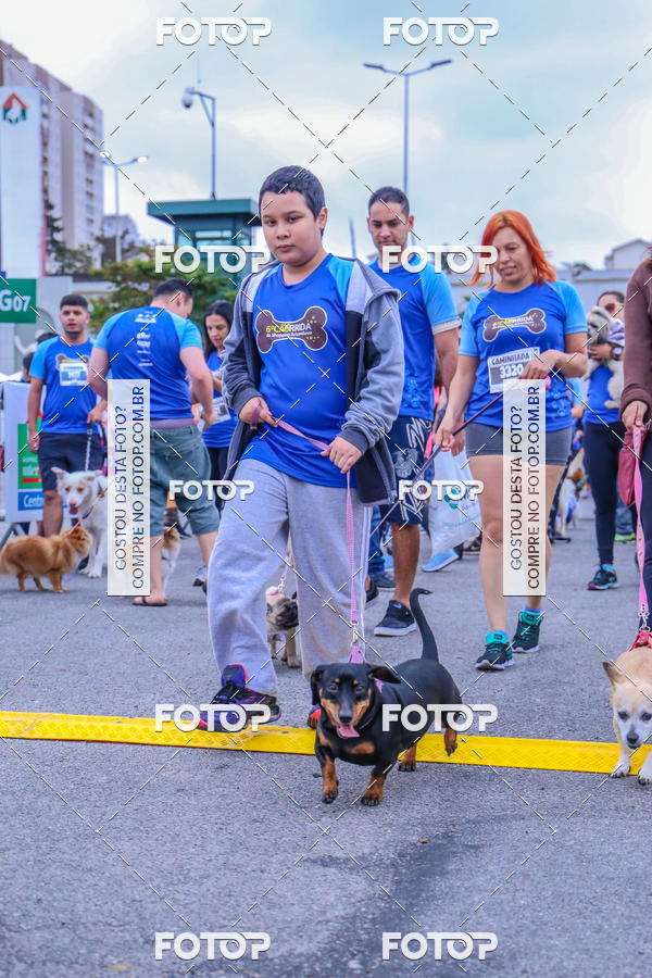 Buy your photos of the event6 Corrida do Shopping Aricanduva on Fotop
