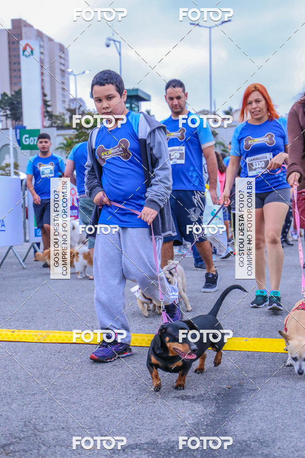 Buy your photos of the event6 Corrida do Shopping Aricanduva on Fotop