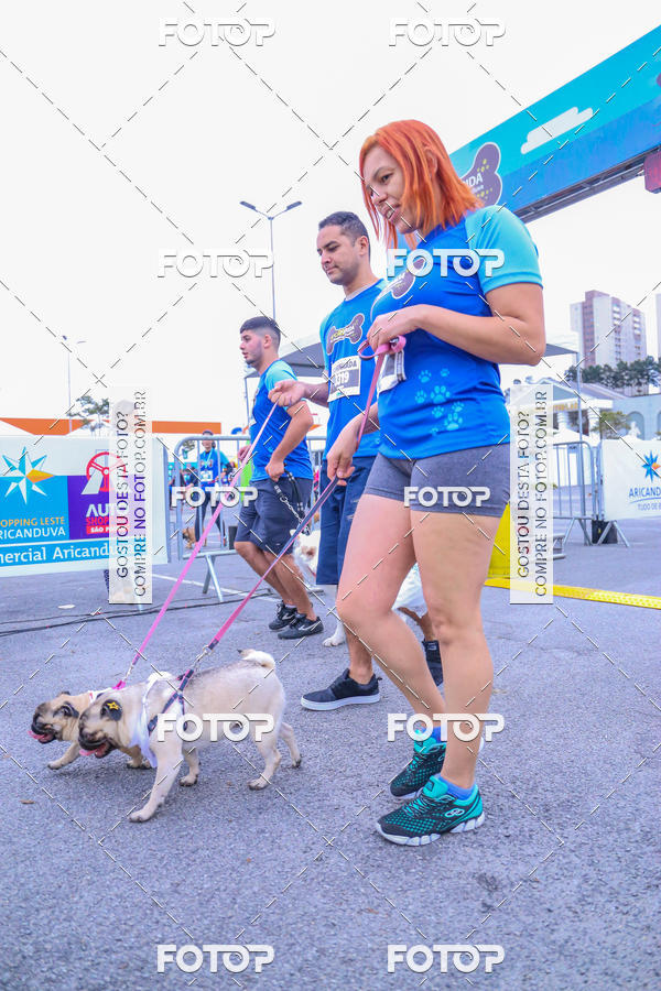 Buy your photos of the event6 Corrida do Shopping Aricanduva on Fotop
