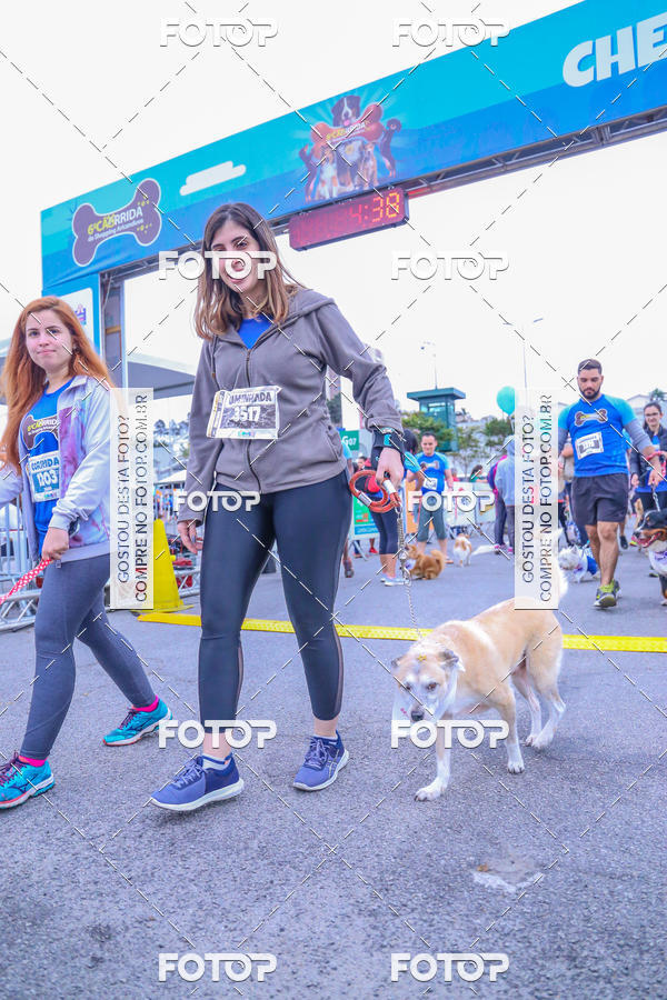 Buy your photos of the event6 Corrida do Shopping Aricanduva on Fotop