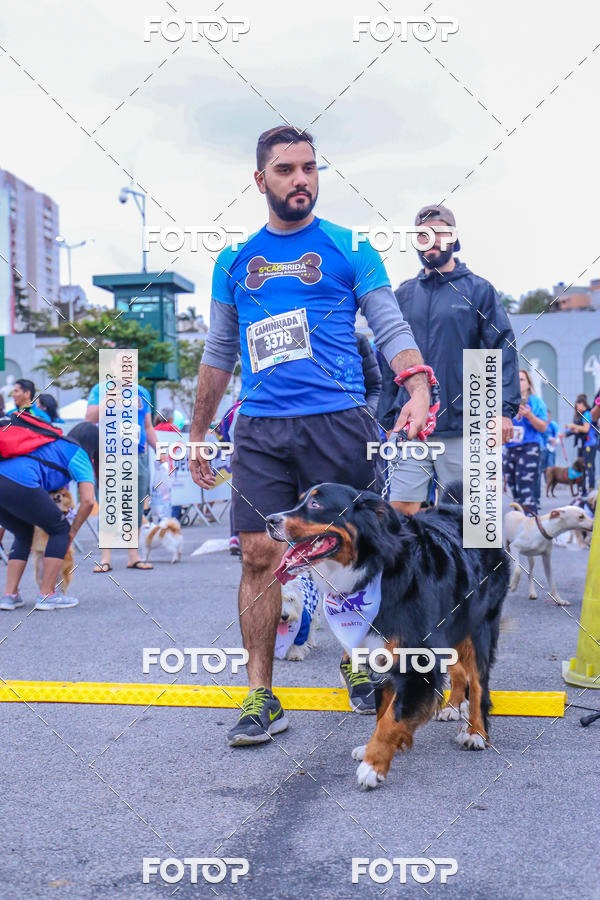 Buy your photos of the event6 Corrida do Shopping Aricanduva on Fotop