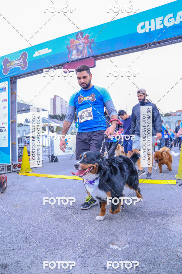 Buy your photos of the event6 Corrida do Shopping Aricanduva on Fotop