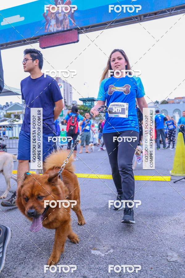 Buy your photos of the event6 Corrida do Shopping Aricanduva on Fotop