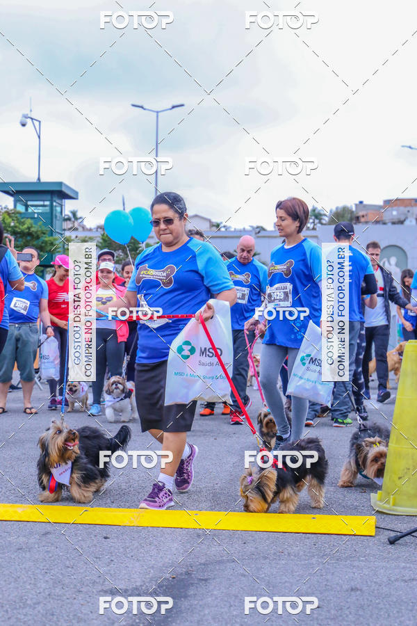 Buy your photos of the event6 Corrida do Shopping Aricanduva on Fotop