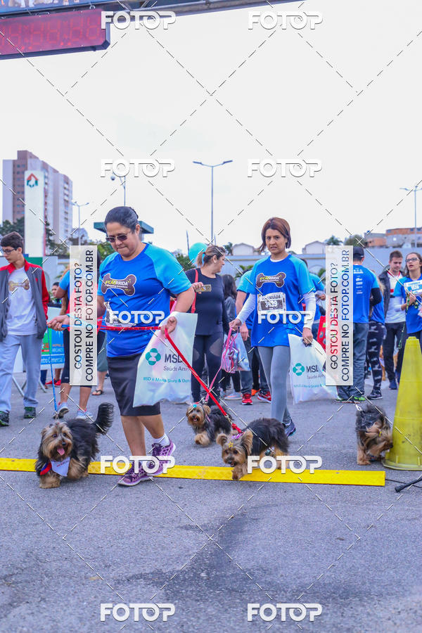 Buy your photos of the event6 Corrida do Shopping Aricanduva on Fotop