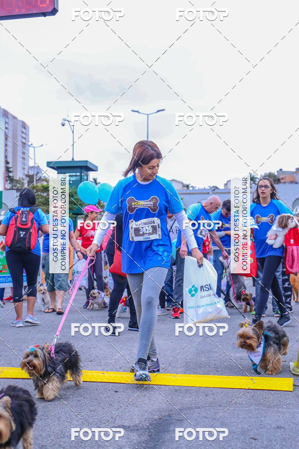 Buy your photos of the event6 Corrida do Shopping Aricanduva on Fotop