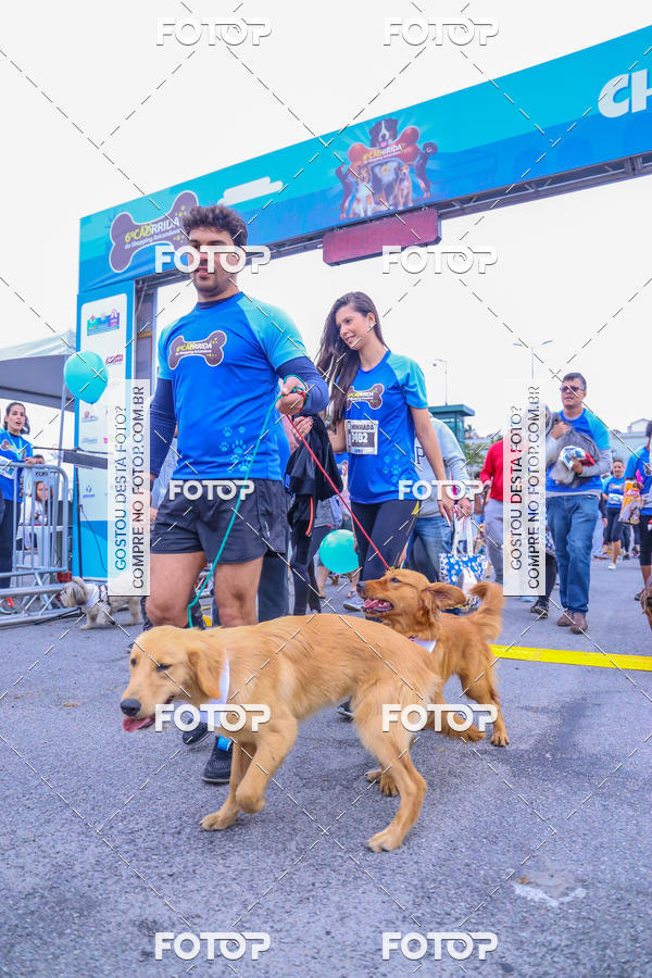 Buy your photos of the event6 Corrida do Shopping Aricanduva on Fotop