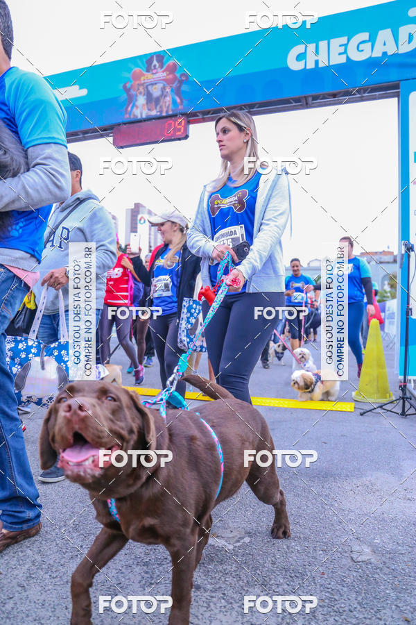 Buy your photos of the event6 Corrida do Shopping Aricanduva on Fotop