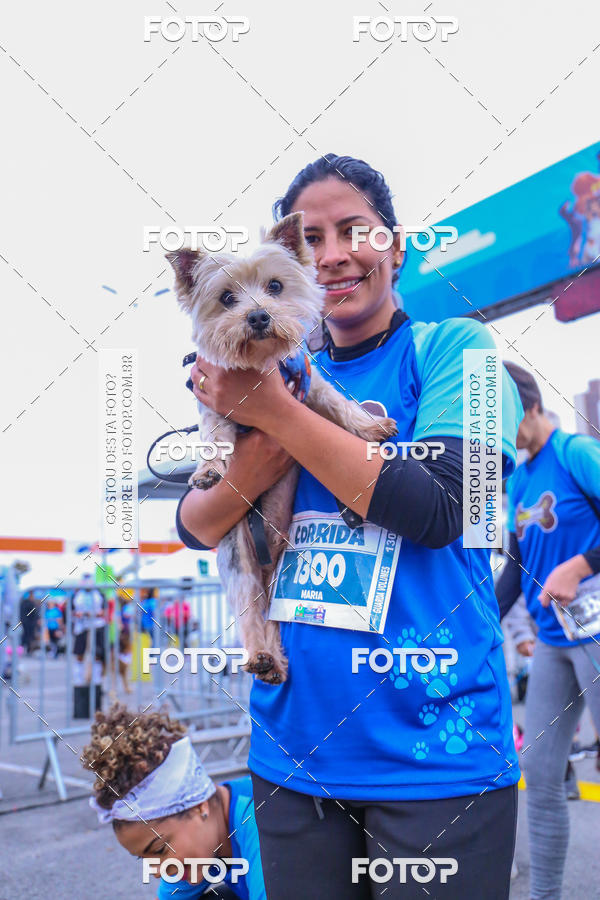 Buy your photos of the event6 Corrida do Shopping Aricanduva on Fotop