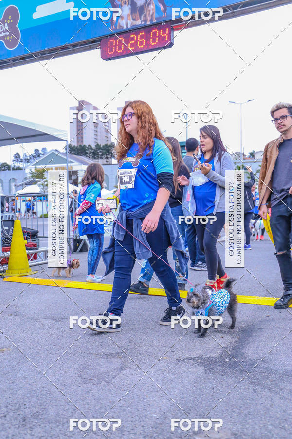 Buy your photos of the event6 Corrida do Shopping Aricanduva on Fotop