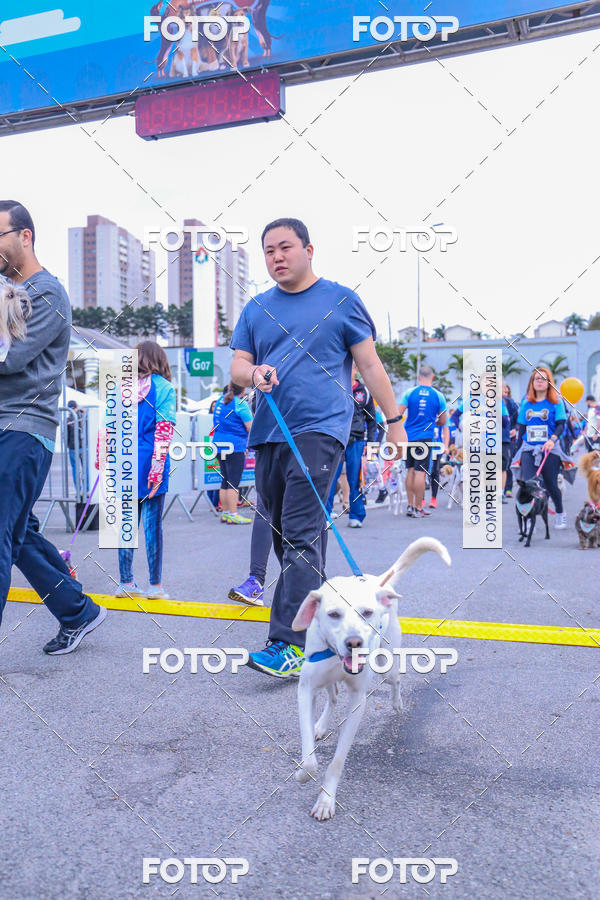 Buy your photos of the event6 Corrida do Shopping Aricanduva on Fotop